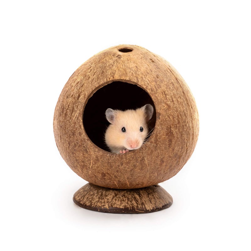andwe Coconut Hut Hamster House Bed for Gerbils Mice Small Animal Cage Habitat Decor - Image 1